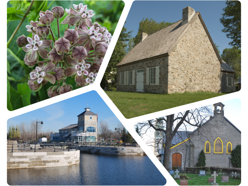 Lachine's history and biodiversity, a stroll through time and local flora