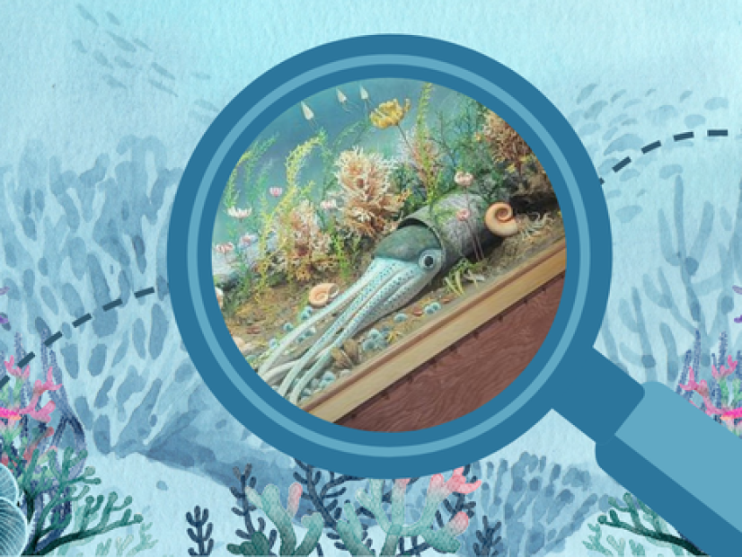 Spring break activity at the Redpath Museum: adventure under the sea