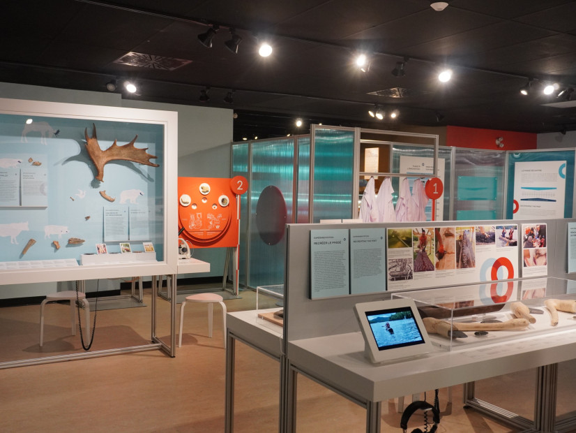 Archéologie : une aventure scientifique